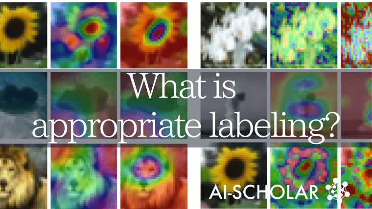 What Is An Appropriate Label Representation In Image Classification?