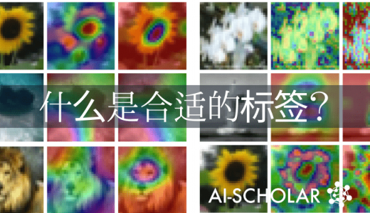 什么是图像分类中合适的标签表示？