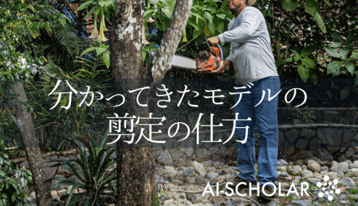 フィルタ剪定手法HRankが驚きの知見を