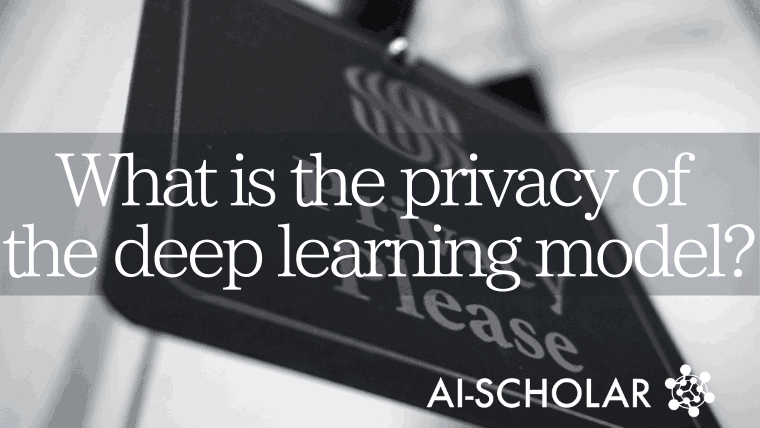 Can We Protect The Privacy Of Deep Learning Models?