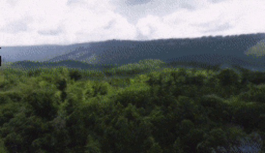 [Infinite Nature] Au