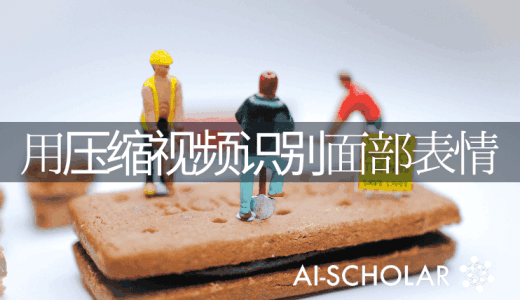 基于压缩视频的系统实现实时面部表情识别!