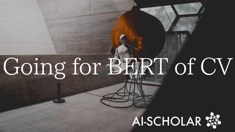 IBOT Aiming For CV BERT Through Self-distillation