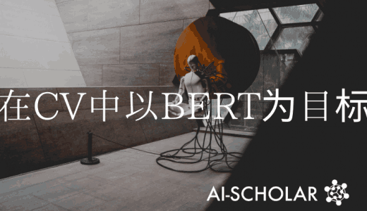 IBOT旨在通过自我蒸馏实现CV BER