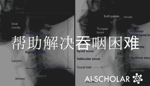 支持吞咽困难康复的拟议框架