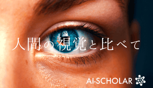 CNNやTransformerは人間の視