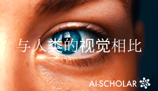 CNN和Transformer与人类视觉