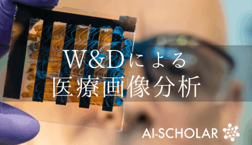 W &Dによる医療画像分析