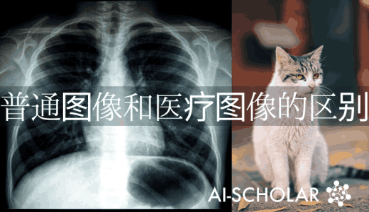 从对抗性攻击的角度看普通和医学图像分类模