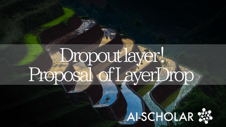 Dropout Layers, Not Weights Or Nodes!