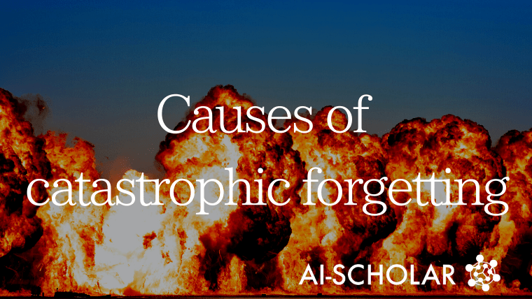 What Causes Catastrophic Forgetting?