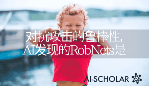 寻找对敌对样本具有鲁棒性的网络结构