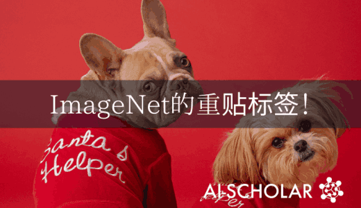 ReLabel，一种使用本地标签的多重标