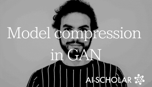 Model Compression Fo