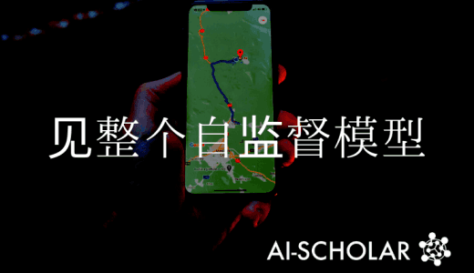 自我监督模型在下游任务中的成功率如何？