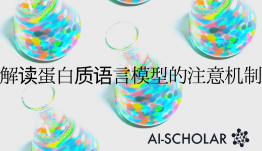 解读蛋白质语言模型的注意机制