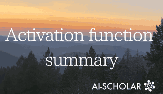 Activation Function