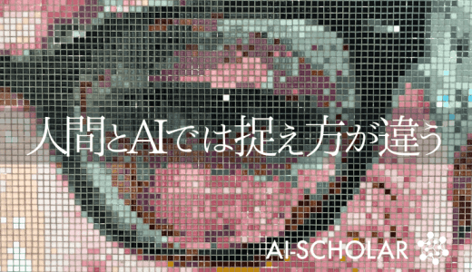 CNNは本当にテクスチャ好きなのか？