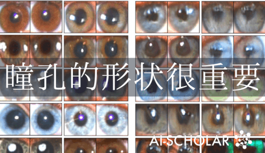 由GAN生成的面孔可以通过其瞳孔进行判断