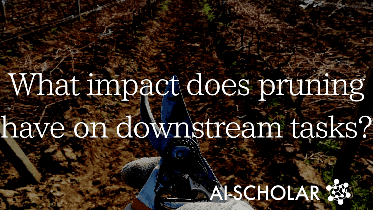 How Does Pruning Of The ImageNet Pre-training Model Work In Downstream Tasks?