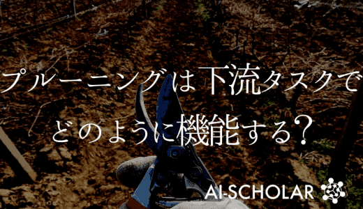 ImageNet事前学習モデルのプルーニ