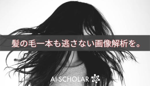 レンダリングを応用した画像セグメンテーシ